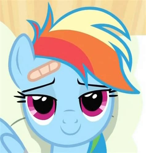 My Little Pony image macros — Rainbow Dash - reaction image pack - all from...