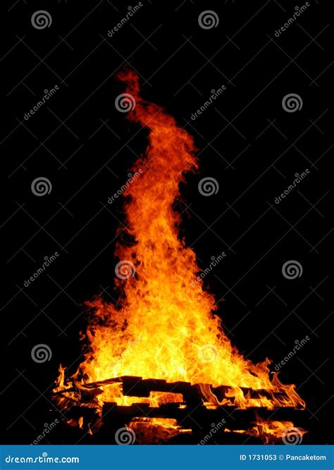 Bonfire stock image. Image of orange, combustion, camp - 1731053