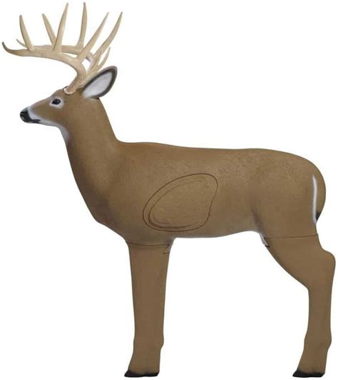 7 Best 3D Deer targets for archery [2021 Review] - BowScanner