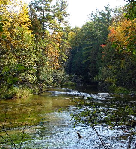 Little Manistee River | David Eger | Flickr