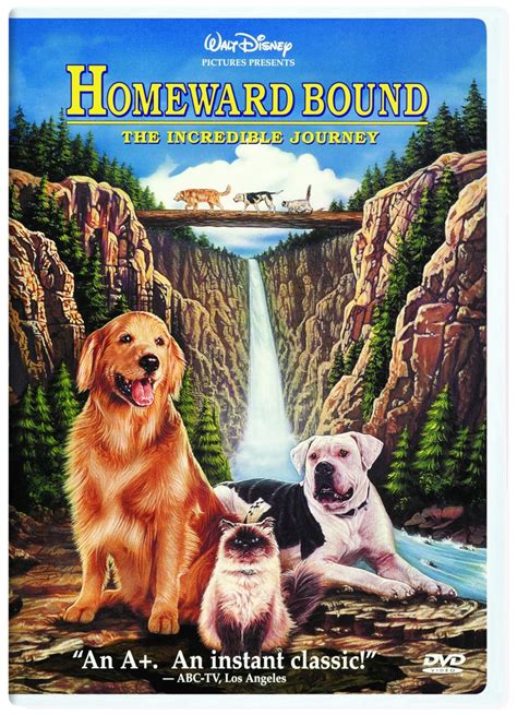 Homeward Bound: Incredible Journey DVD Region 1 NTSC US Import: Amazon.de: DVD & Blu-ray