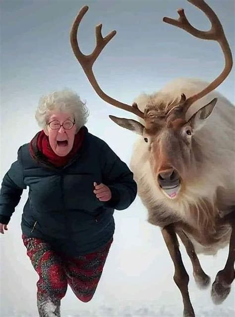 Grandma got run over by a reindeer Blank Template - Imgflip