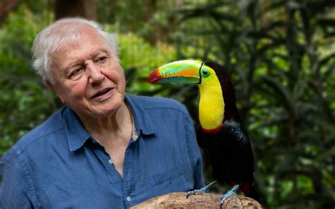 Sir David Attenborough says new show is a break from 'woe is me' climate change warnings