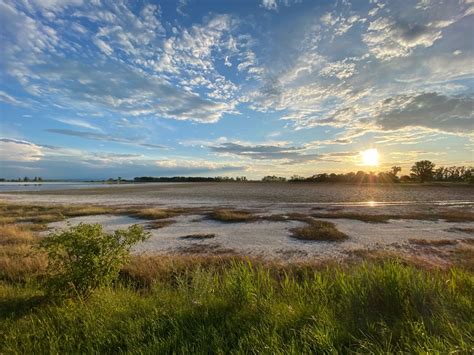 Nationalpark Neusiedler See - Seewinkel | Nationalpark, Wunderschön ...