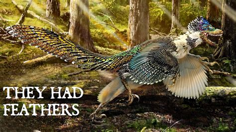 They Had Feathers: Is the World Ready to See Dinosaurs as They Really Were? | Living Bird | All ...