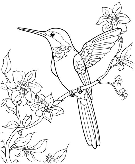 hummingbird coloring page for kids 27703311 Vector Art at Vecteezy