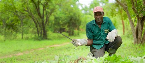 Protecting forests and land | Tree Aid