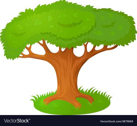 Cartoon tree Royalty Free Vector Image - VectorStock