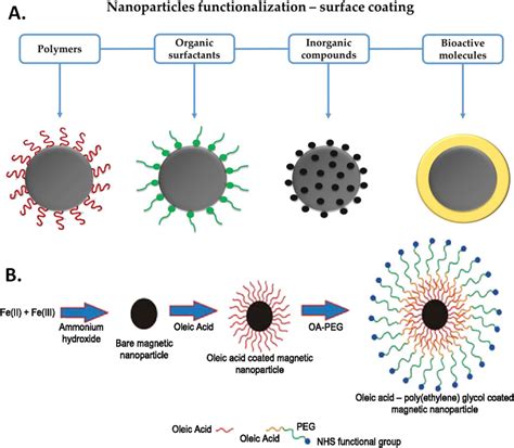 Surface functionalization of core magnetic nanoparticles. A ...