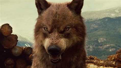 Pics of Jacob & Sam as wolves from Breaking Dawn ! | À Voir