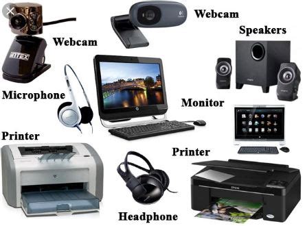 Difference Between Input And Output Device With Examples - VIVA DIFFERENCES