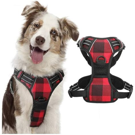 Rabbitgoo Dog Harness No Pull,Adjustable Dog Walking Chest Harness with 2 Leash Clips,Comfort ...