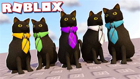 SIMULADOR DE GATO - Roblox - YouTube