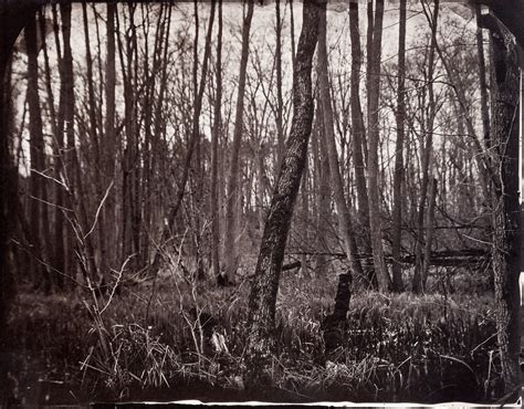 holocene - Maximilian Zeitler - Wet Plate Collodion Photography