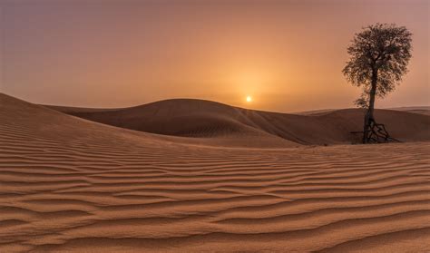 Desert Sunset | Sunset Landscape - Desert | Walid photography | Flickr