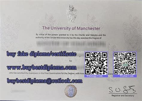 How long it takes to make University of manchester degree | PPT | Free Download