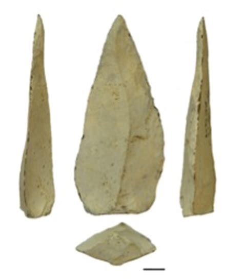 Oldest spear points date to 500,000 years | ASU News