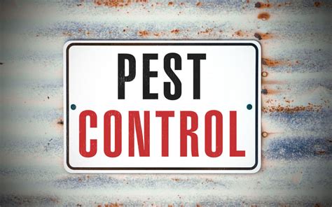 What are the Signs of a Cockroach Infestation? - Eco Care Pest Management