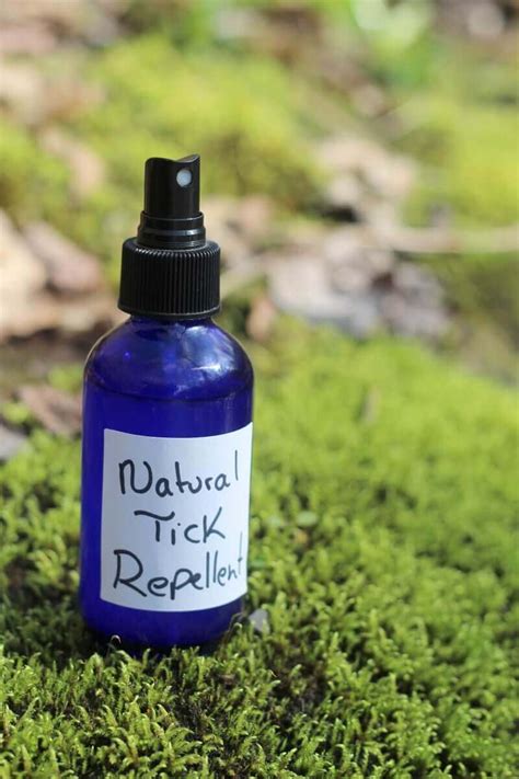 Natural Tick Repellent Homemade Recipe