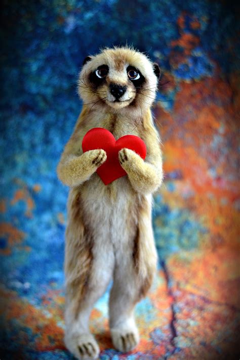 CUSTOM ORDER / Toy MEERKAT Cub Meerkat realistic Meerkat | Etsy