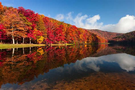 Here's When You Can Expect the Fall Foliage to Peak in NoVA