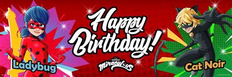 Miraculous Ladybug Birthday Banner - Team Up Cartoon Australia | Ubuy