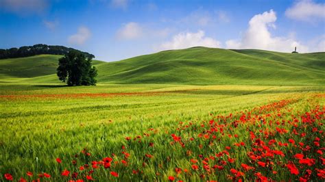 Beautiful Meadow Wallpapers - Wallpaper Cave