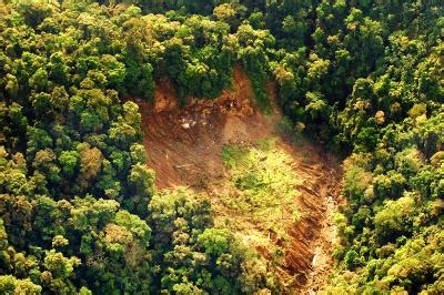 The Devastating Effects of Landslides