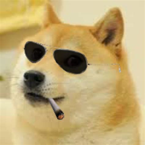 Dogecoin meme generator information | dogecoinprice