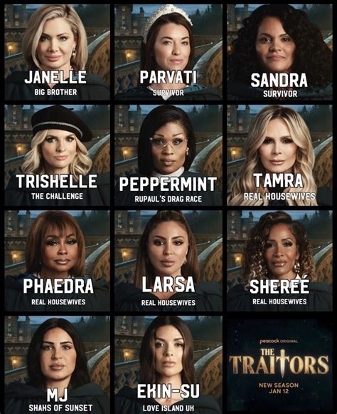 Traitors Season 2 US Cast : r/realhousewives