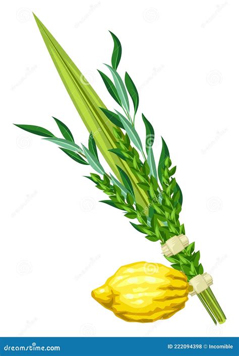 Happy Sukkot Traditional Symbols. Four Species Etrog, Lulav, Willow and Myrtle Branches Stock ...