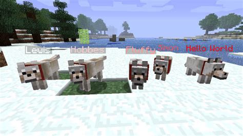 Minecraft Dogs: Tips, Tricks & Secrets √ DOGICA®