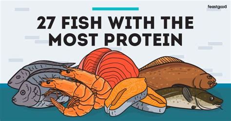 27 Fish With The Most Protein (Complete List) - FeastGood.com