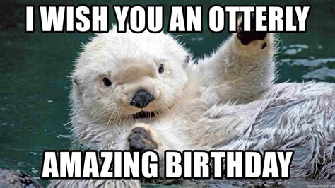 Happy Birthday Sea Otter