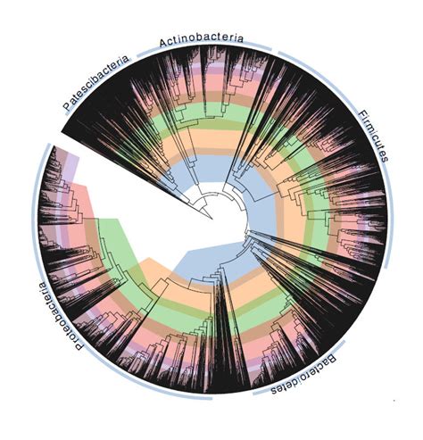 Scientists 'fix' bacterial tree of life