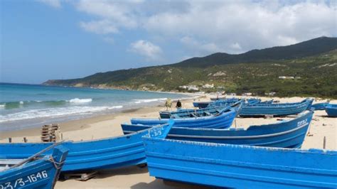 Dalia Beach (Tangier): UPDATED 2020 All You Need to Know Before You Go (with PHOTOS)