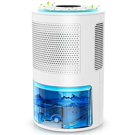 The Best Dehumidifiers for Large Room in 2022