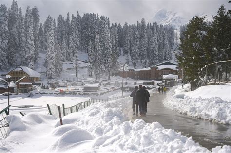 Season's first snowfall in Gulmarg