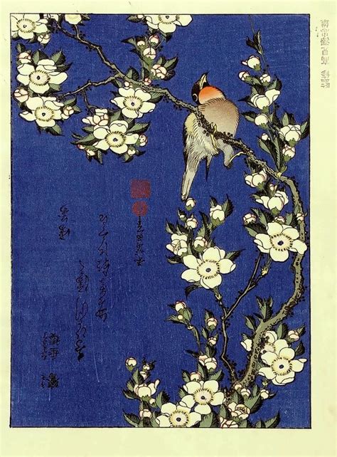 Robin on branch of cherry blossoms. Katsushika Hokusai (1760-1849 ...