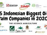 15 World’s Biggest Entertainment Companies - The Science Agriculture