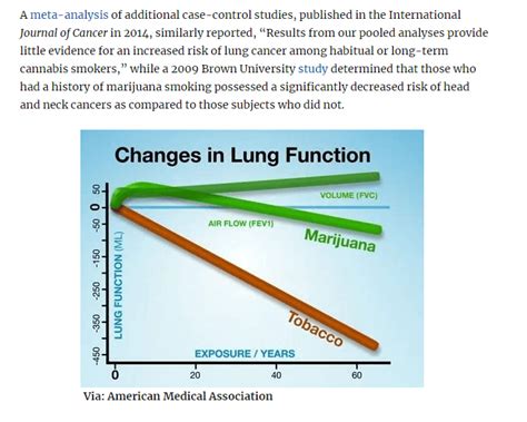 Can Smoking Marijuana Cause Lung Cancer - NCSM