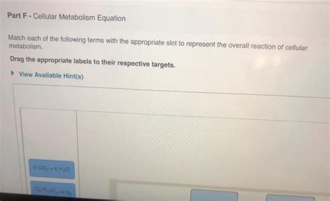 Solved Part F-Cellular Metabolism Equation Match each of the | Chegg.com