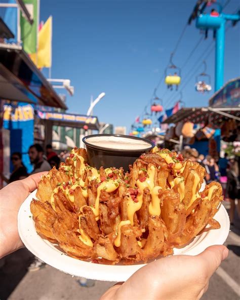 EX-ceptional fun: Here's everything you can do at the CNE this summer ...