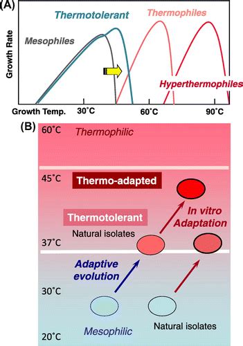 Full article: Genomic analyses of thermotolerant microorganisms used for high-temperature ...