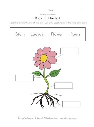 https://www.allkidsnetwork.com/worksheets/science/plants/parts-of ...