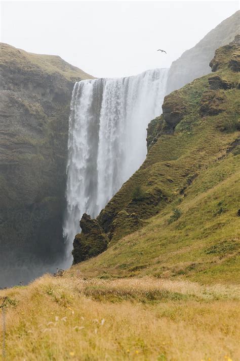 "Skogafoss Waterfall" by Stocksy Contributor "Stacy Allen" - Stocksy