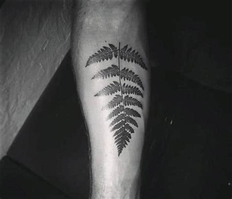 60 Rad Fern Tattoo Designs for Men [2023 Inspiration Guide]