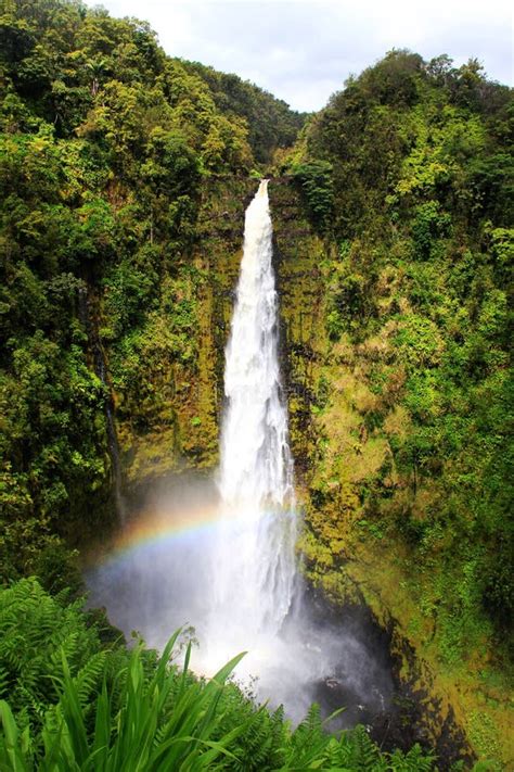 Akaka Falls stock photo. Image of forest, nature, fall - 30921506