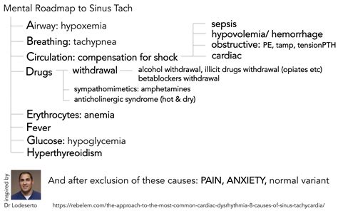 sinus tachycardia | VIGILANTIA et HUMILITAS