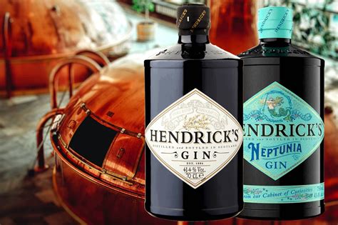 Hendricks Gin Recipes Ginger Ale | Dandk Organizer